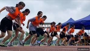 法甲赛季总结巴黎圣日耳曼夺冠与降级球队分析